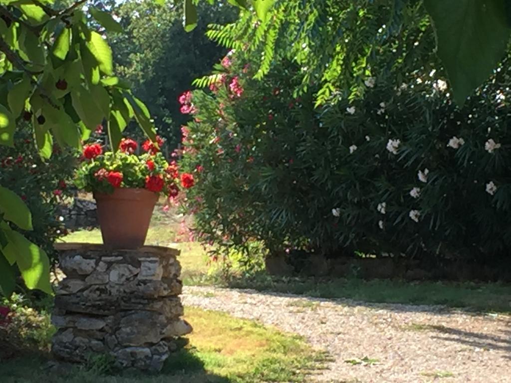 Podere Conte Racani 아멜리아 외부 사진