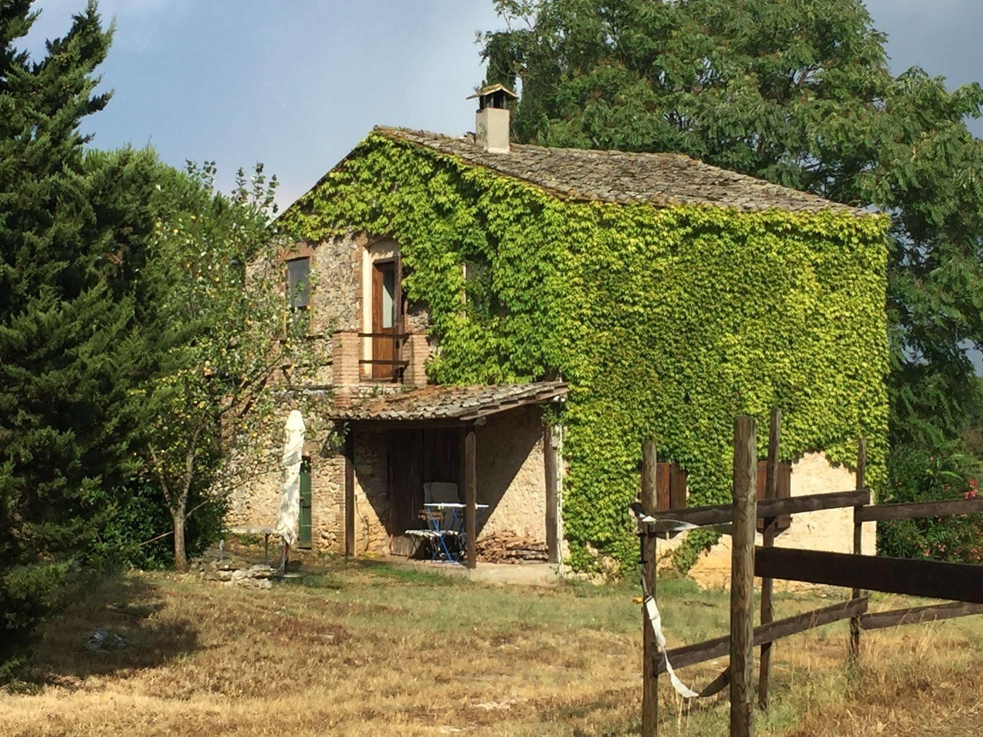 Podere Conte Racani 아멜리아 외부 사진